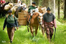 Bayerischer Wald